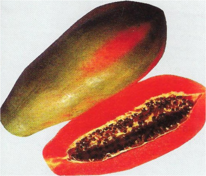 papaya heritage