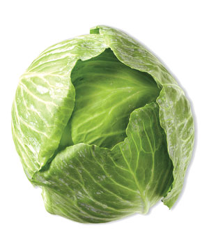 cabbage surya