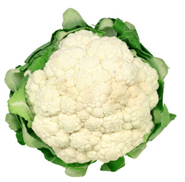cauliflower pusi